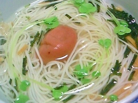 お茶漬け海苔にめんつゆちょい足し 梅載せにゅうめん